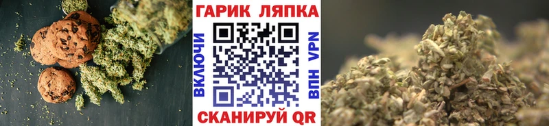 дарк нет какой сайт  как найти закладки  Бокситогорск  Cannafood марихуана 