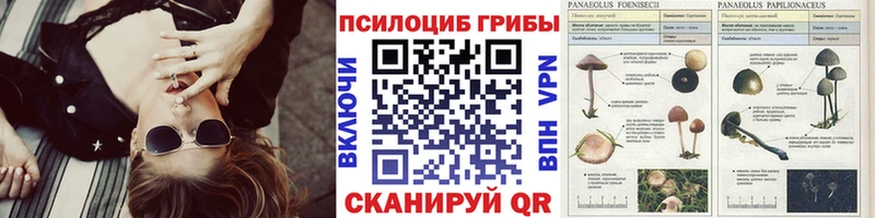 купить   Бокситогорск  Галлюциногенные грибы мицелий 